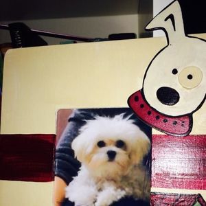 Meet your Posher, Terra